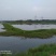 转让沙洋400亩农业基地