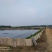 转让沙洋400亩农业基地