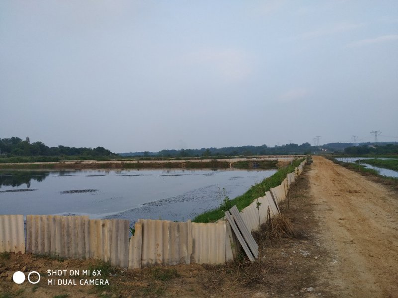 转让沙洋400亩农业基地