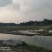 转让沙洋400亩农业基地