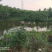 转让沙洋400亩农业基地