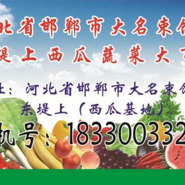 豆角大蒜大量上市