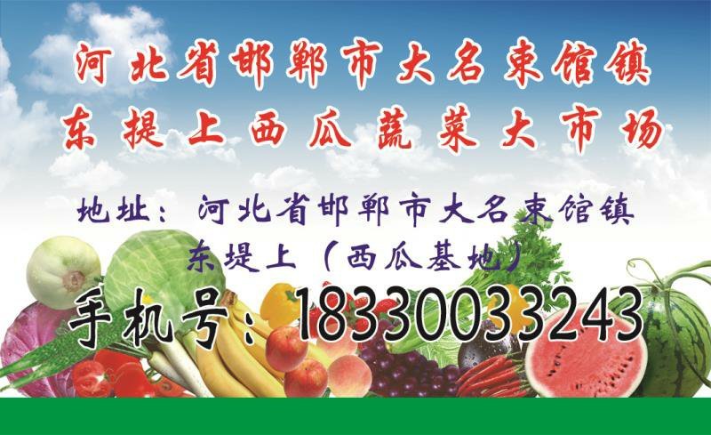 豆角大蒜大量上市