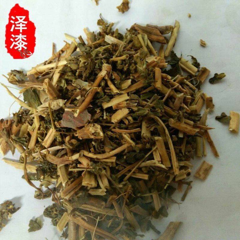泽漆五朵云猫眼草五凤草供应千种中药材一站购