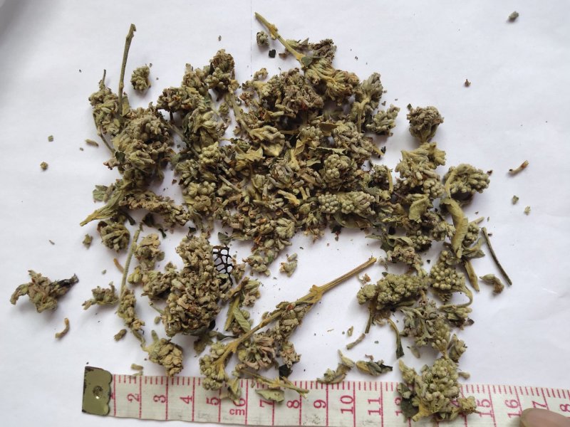 密蒙花统批发可代发批发零售品种齐全一件代发