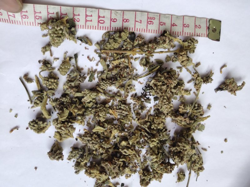 密蒙花统批发可代发批发零售品种齐全一件代发