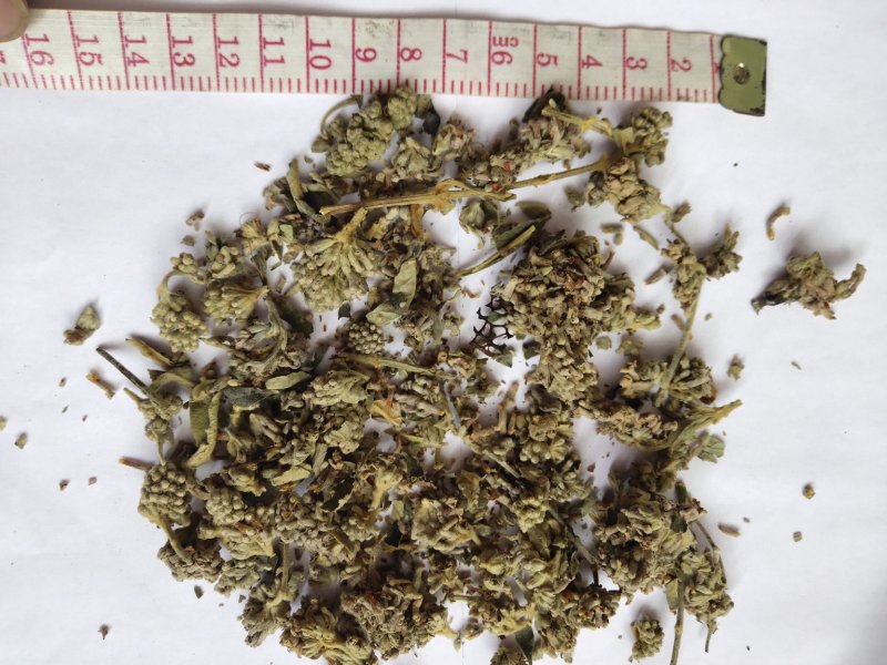 密蒙花统批发可代发批发零售品种齐全一件代发