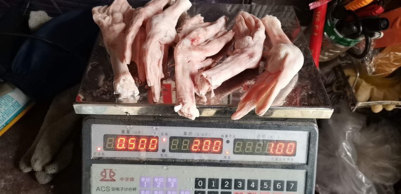 大鹅掌一斤6~7个一件30斤无淤血无断掌质量保证量大价优