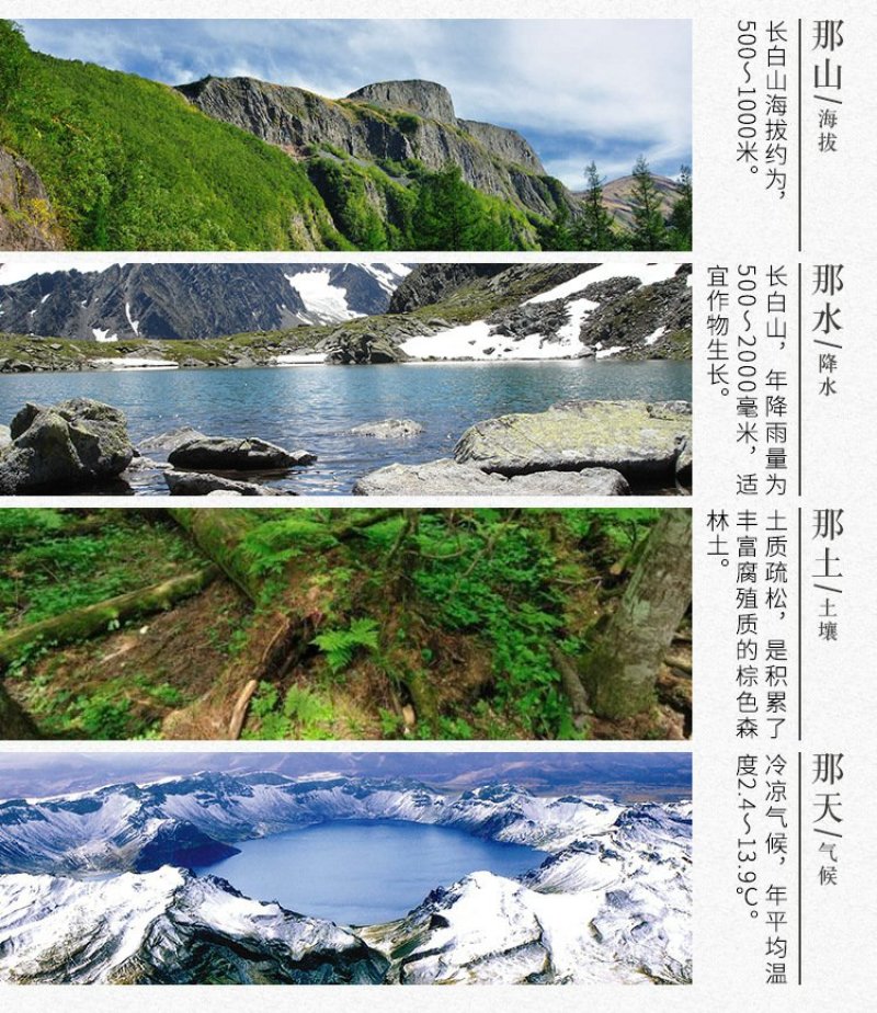 东北特产长白山山核桃仁野生核桃整片新货孕妇核桃仁