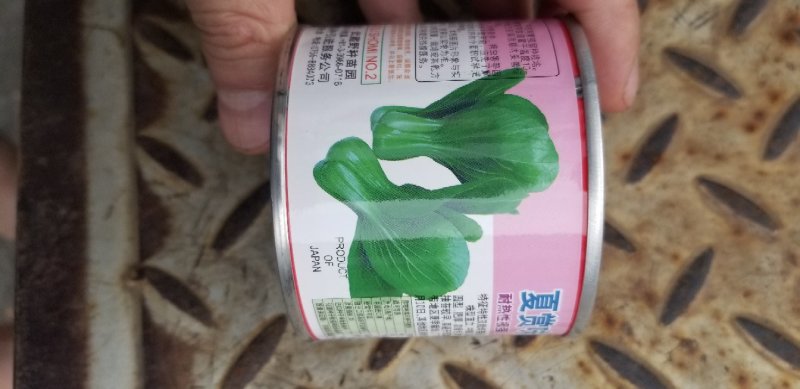 青梗菜种子牛商推荐量大从优