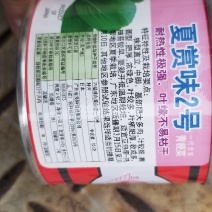 青梗菜种子牛商推荐量大从优