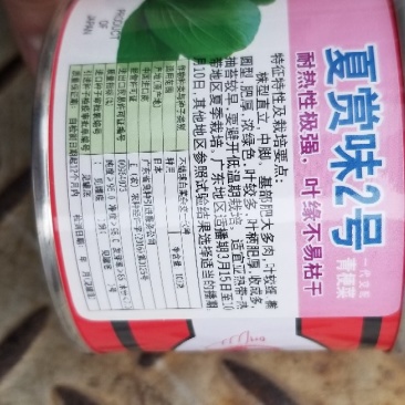 青梗菜种子牛商推荐量大从优