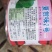 青梗菜种子牛商推荐量大从优