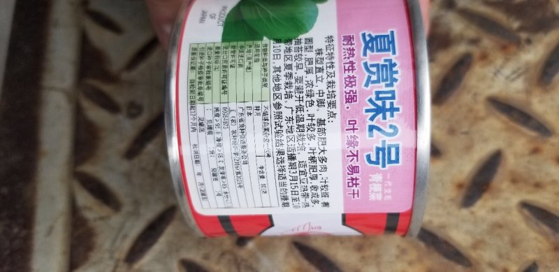 青梗菜种子牛商推荐量大从优