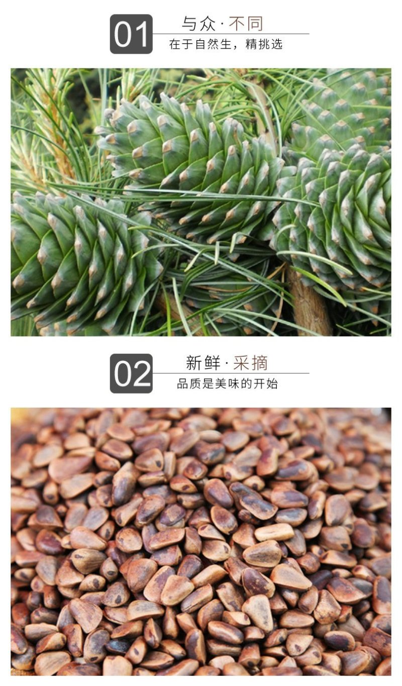 东北特产散货零食野生松子500克特价