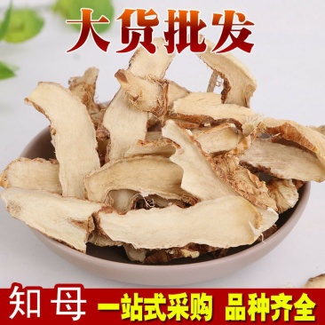 知母知母片知母丁盐知母供应上千种中药材