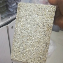 宁化糯薏米