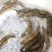 斑鳜鱼20~30cm食用活鱼