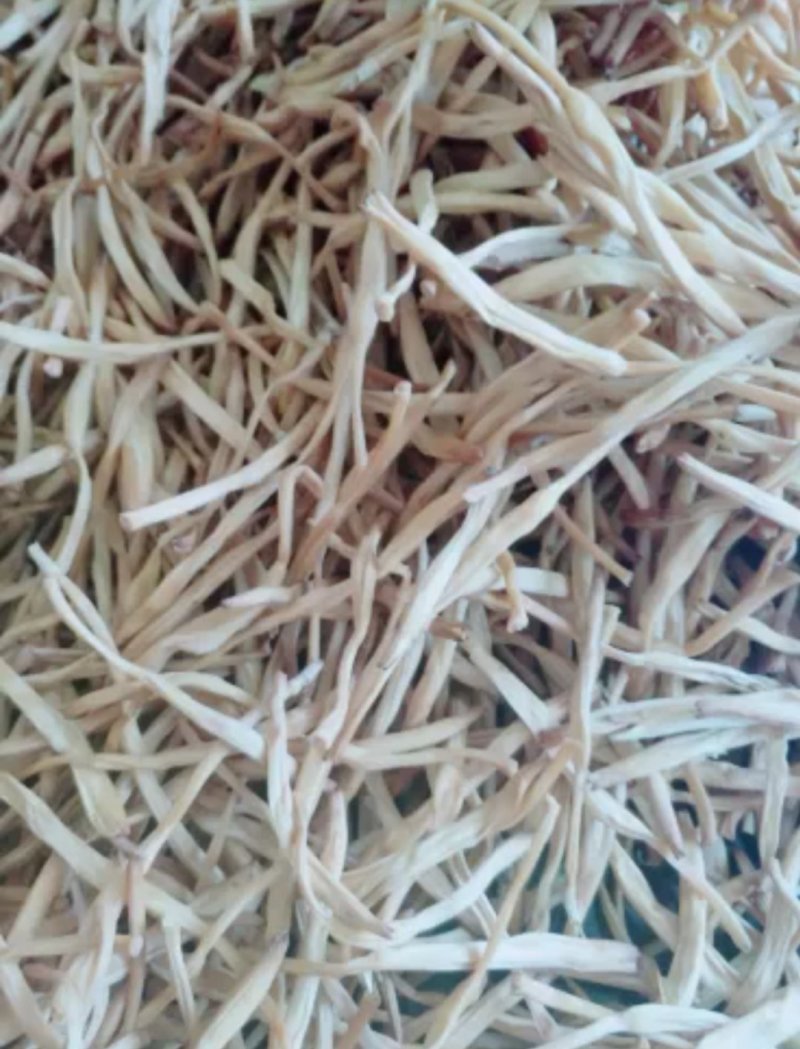 售黄花菜，精品