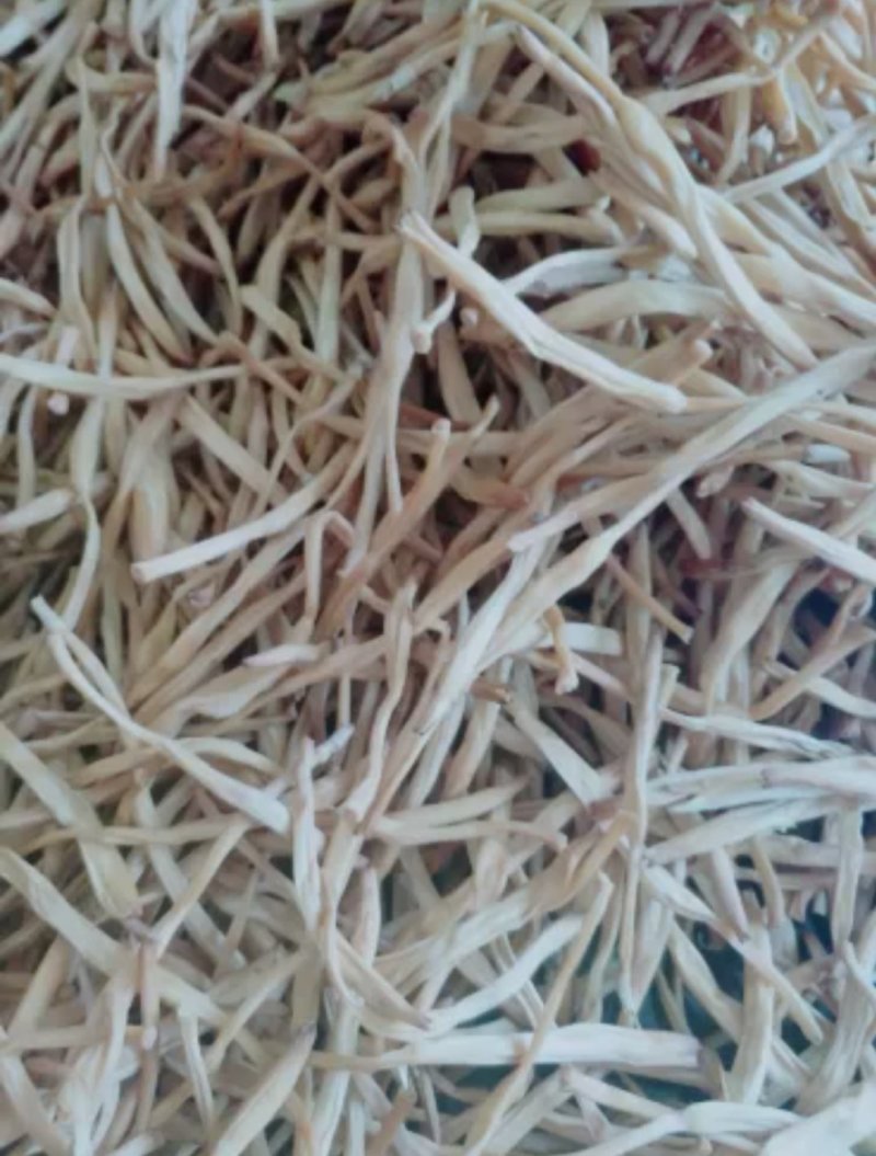 售黄花菜，精品