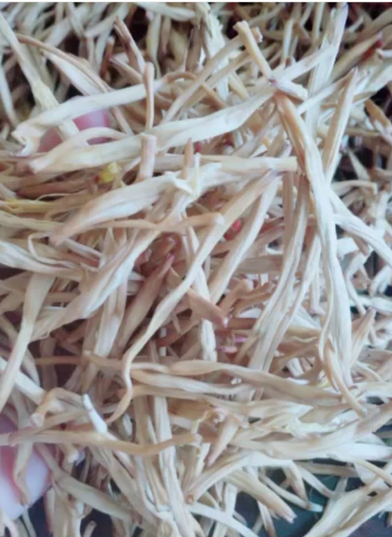 售黄花菜，精品
