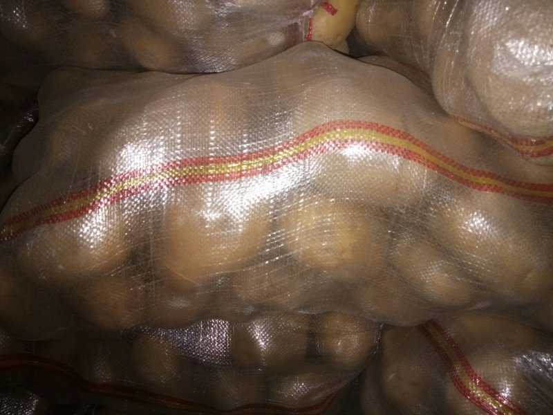 3两以上荷兰十五急需出