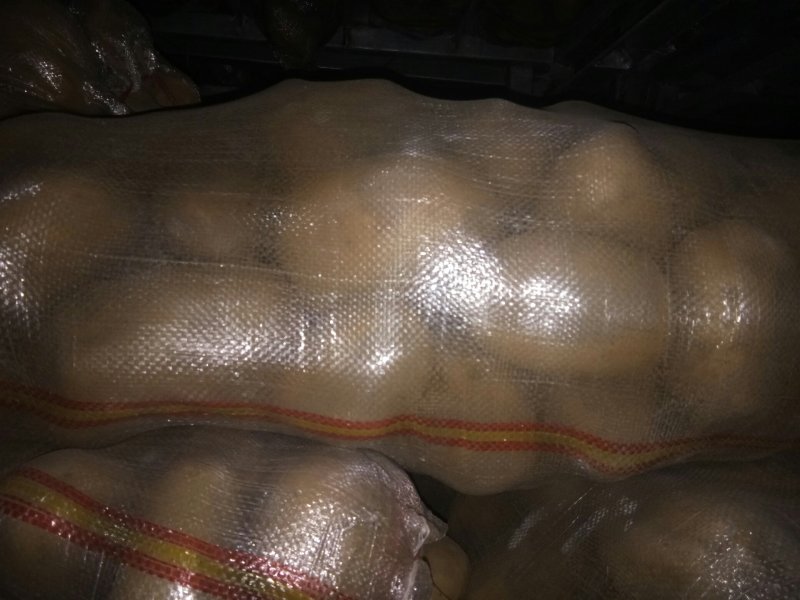 3两以上荷兰十五急需出