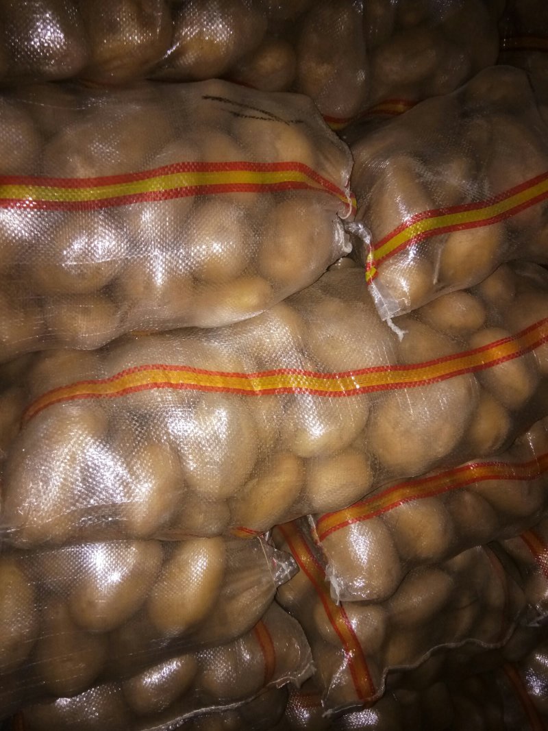 3两以上荷兰十五急需出