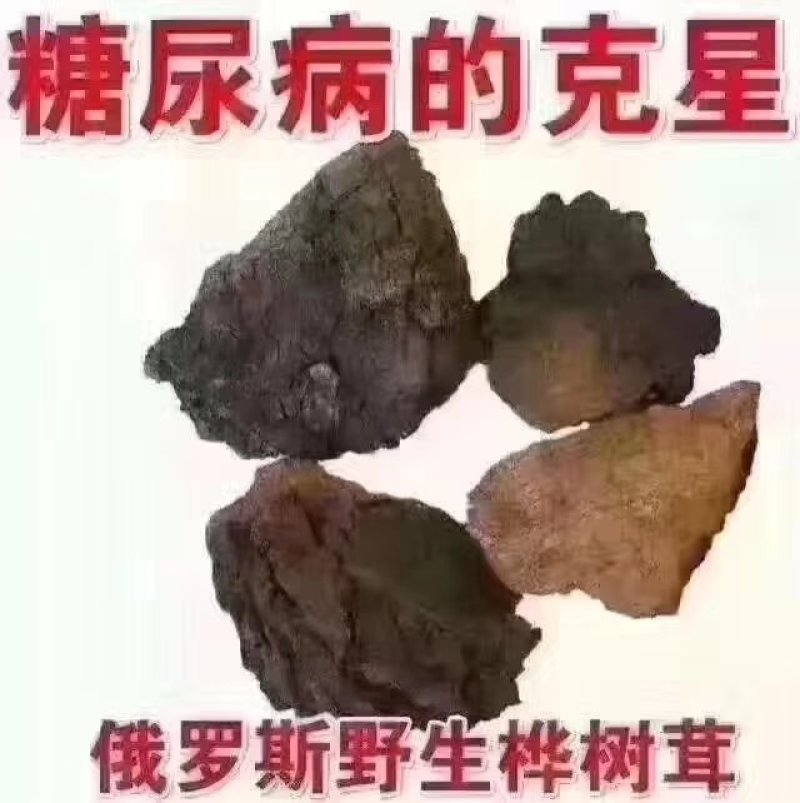 桦树茸