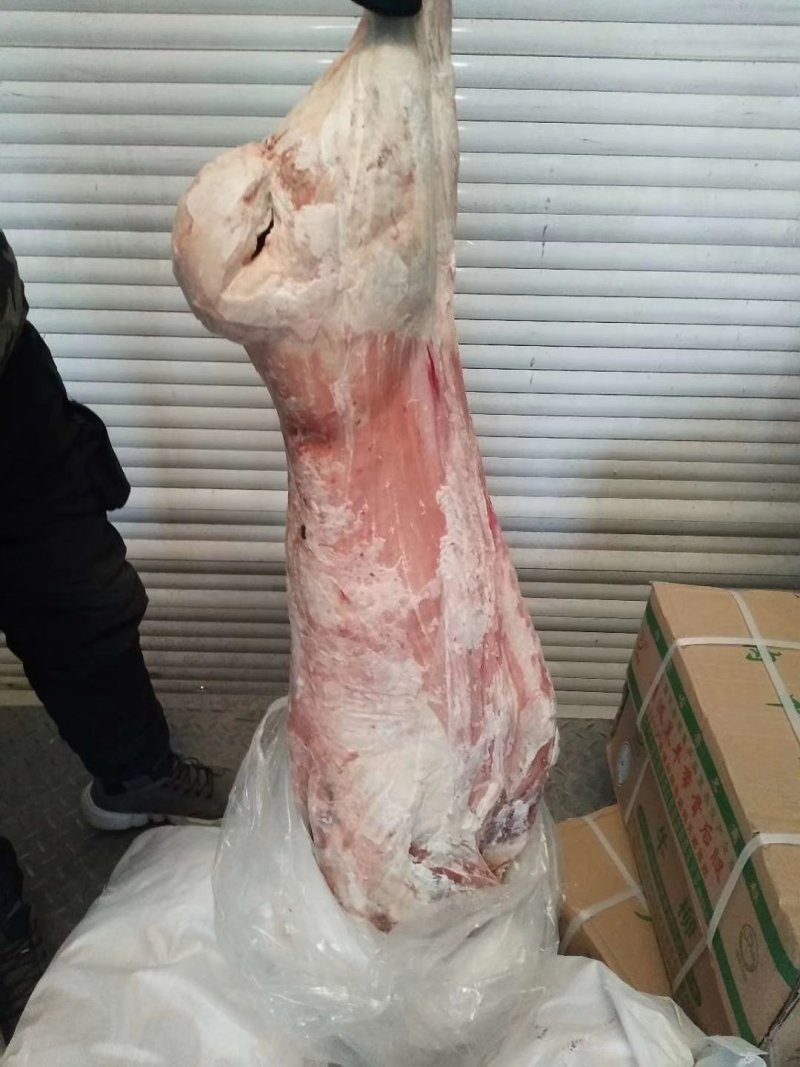 【大羊白条】当地草原羊绵羊的新货！去头蹄内脏净腔带尾