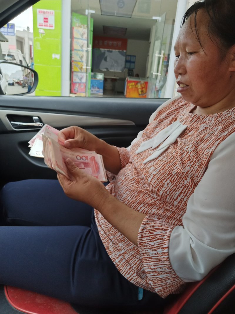 水苔