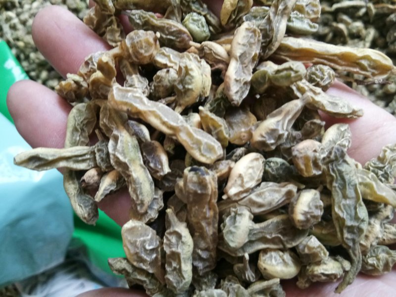 槐角农家晒干无硫干净一公斤起发货批发零售