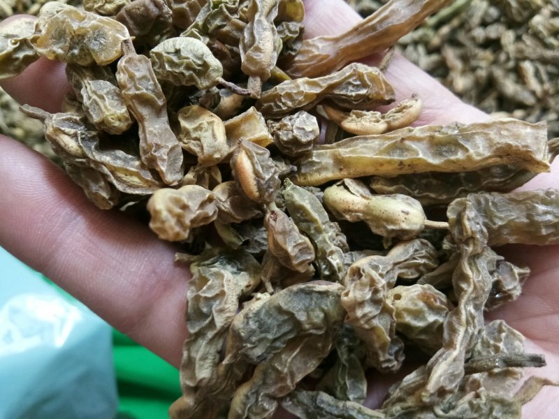 槐角农家晒干无硫干净一公斤起发货批发零售