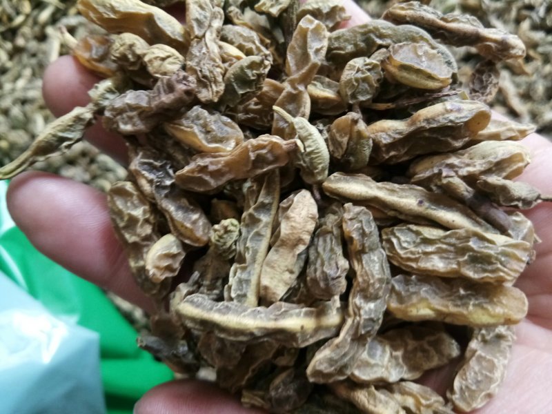 槐角农家晒干无硫干净一公斤起发货批发零售