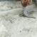 红公鸡