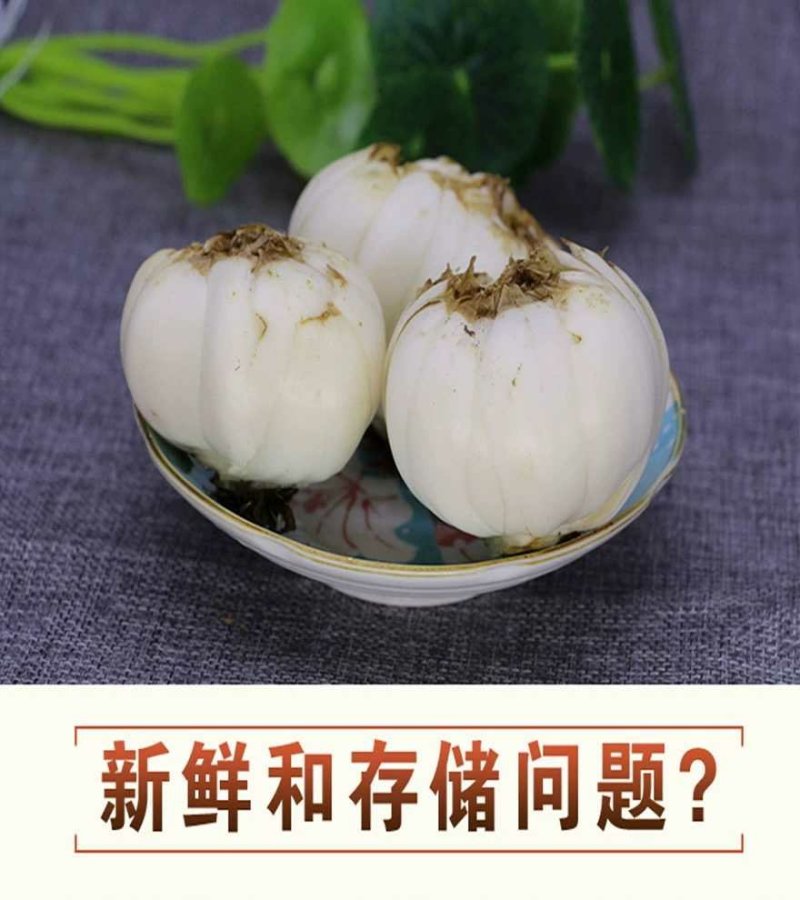 鲜百合三头皇药食两用现挖现发，真空包装