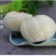 鲜百合三头皇药食两用现挖现发，真空包装