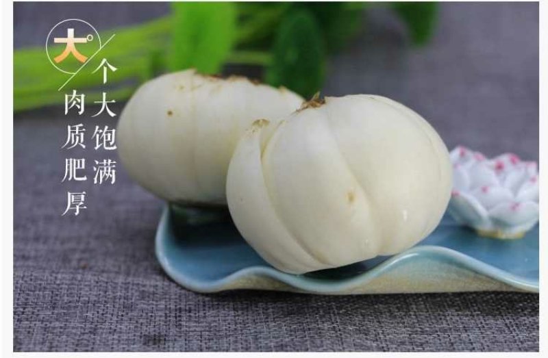 鲜百合三头皇药食两用现挖现发，真空包装