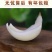 鲜百合三头皇药食两用现挖现发，真空包装