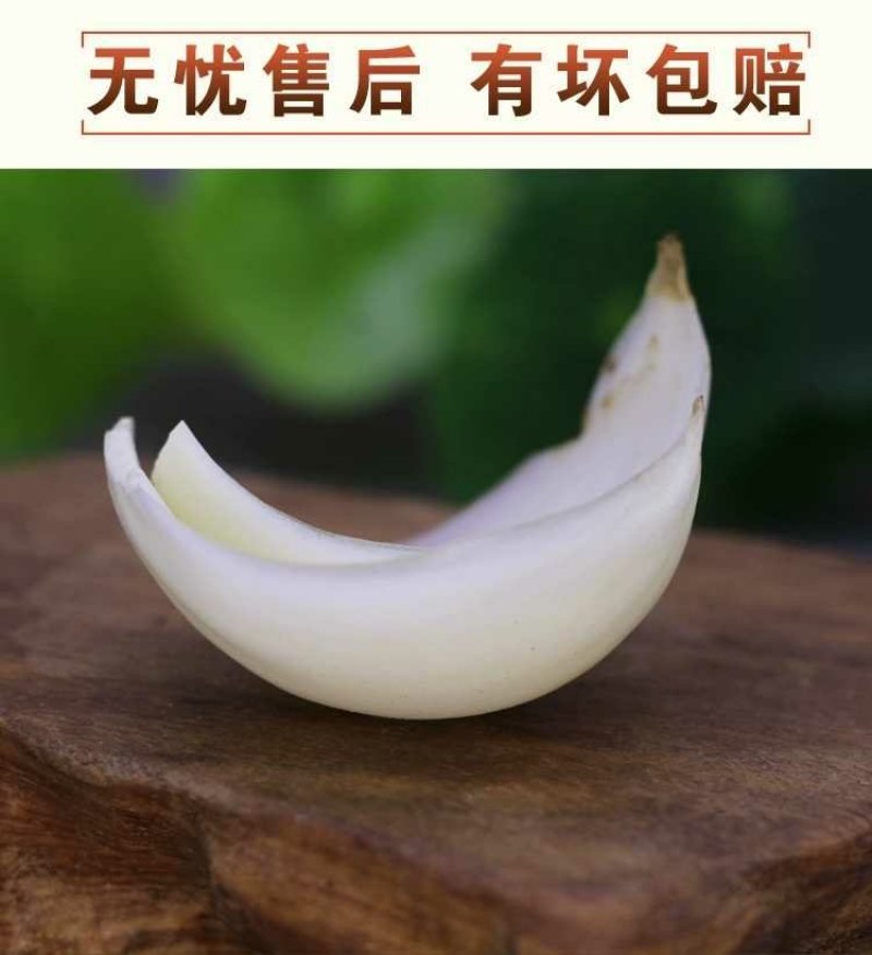 鲜百合三头皇药食两用现挖现发，真空包装
