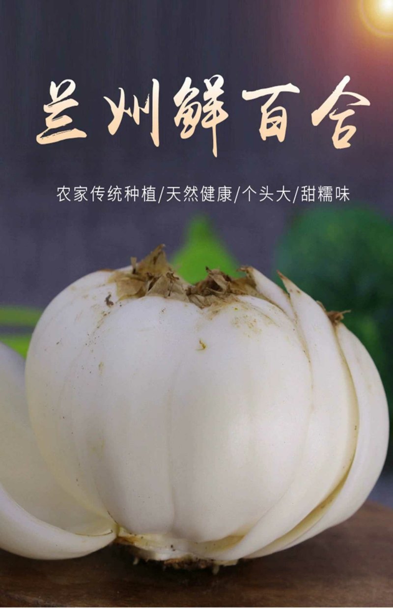 鲜百合三头皇药食两用现挖现发，真空包装