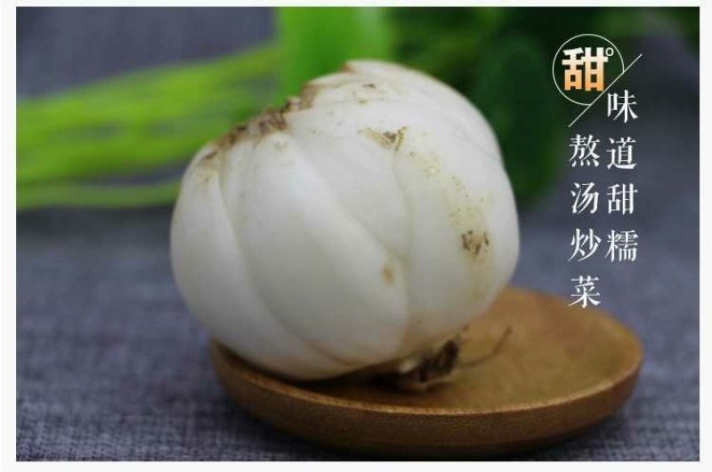 鲜百合三头皇药食两用现挖现发，真空包装