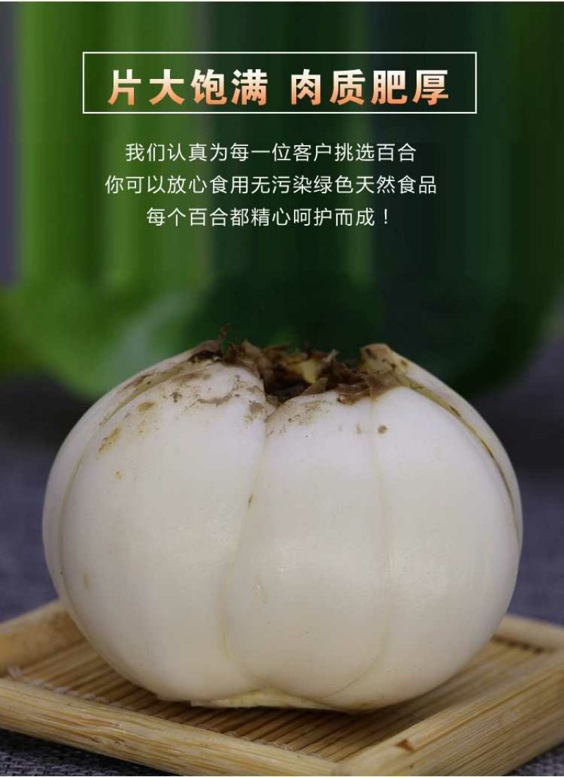 鲜百合三头皇药食两用现挖现发，真空包装