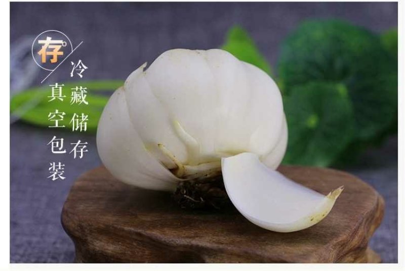 鲜百合三头皇药食两用现挖现发，真空包装