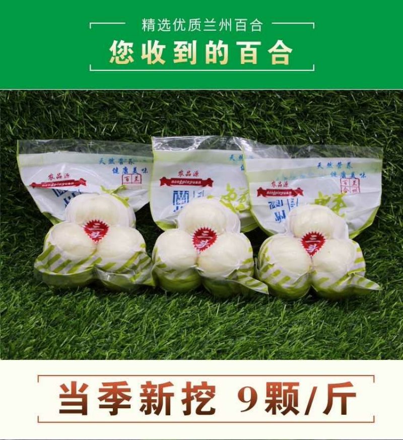 鲜百合三头皇药食两用现挖现发，真空包装
