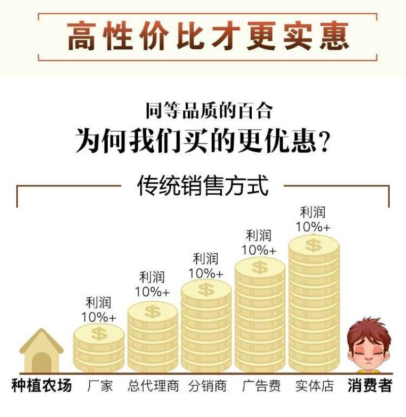 鲜百合三头皇药食两用现挖现发，真空包装