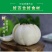 鲜百合三头皇药食两用现挖现发，真空包装