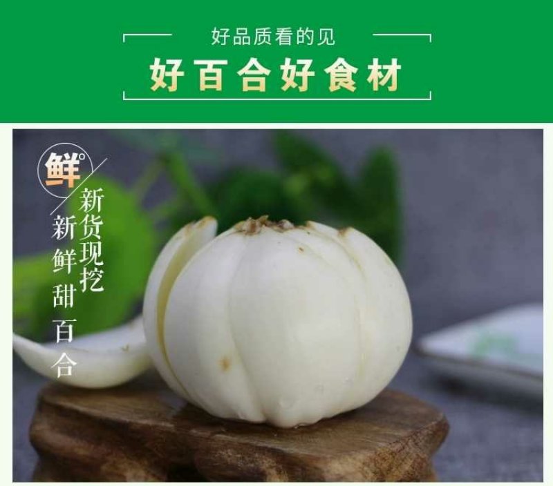 鲜百合三头皇药食两用现挖现发，真空包装