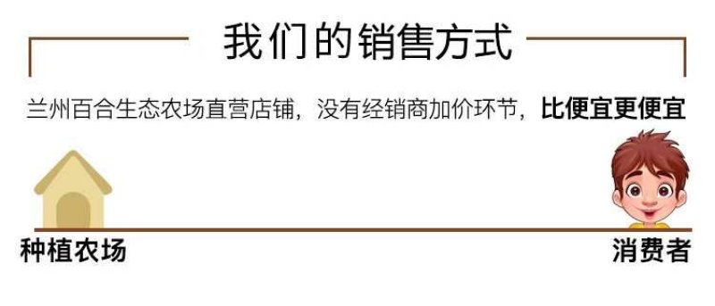 鲜百合三头皇药食两用现挖现发，真空包装
