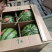 8424西瓜7斤打底8成熟1茬，全国代收代发，